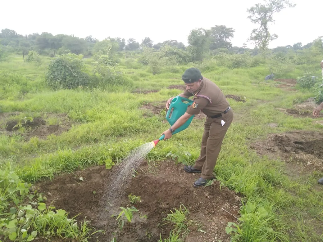 Tree Plantation 2019-20